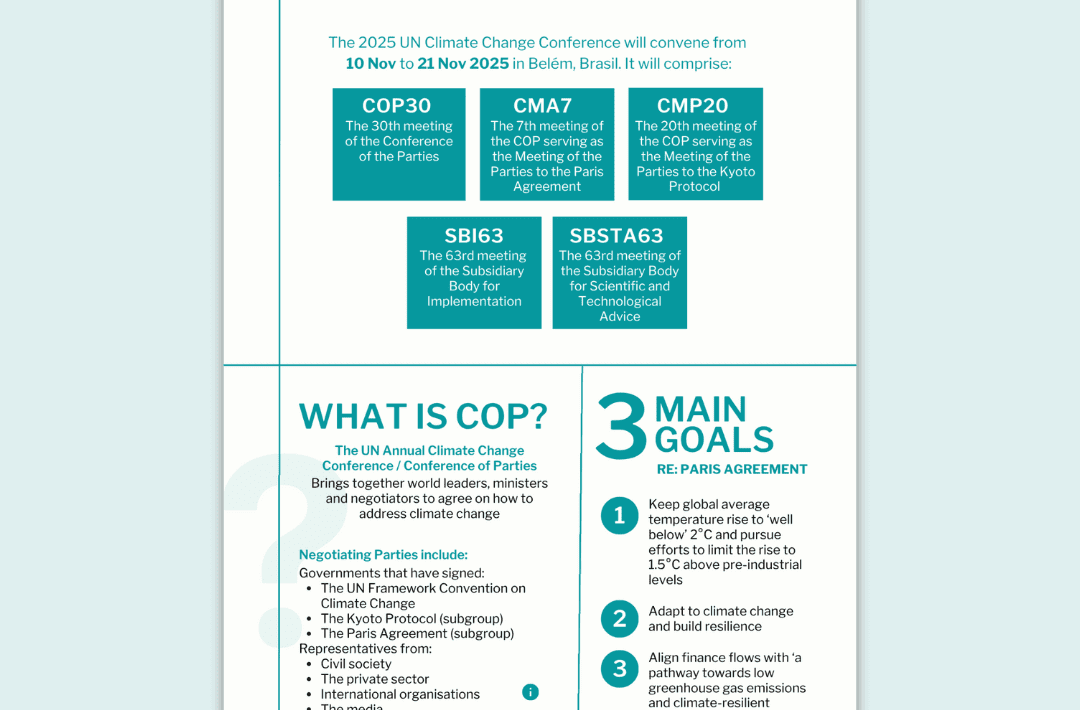 cop30 factsheet preview of the first page